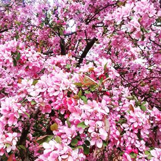  We made it! Happy Friday!!! ♥     