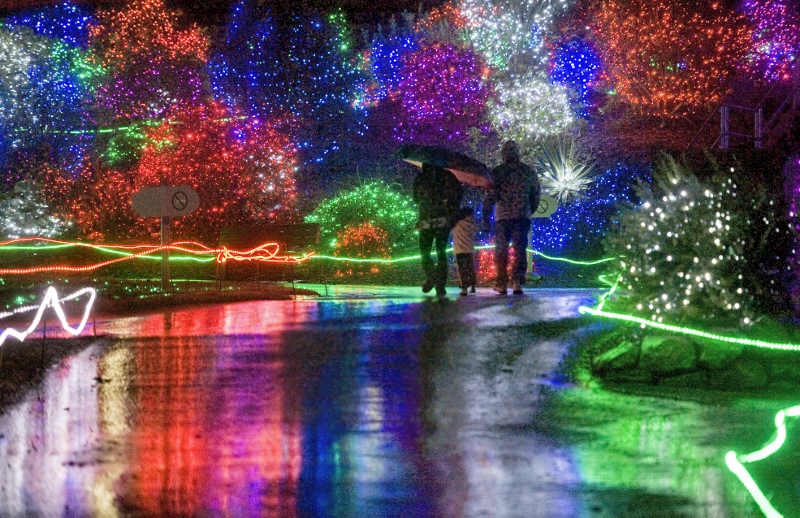 Zoolights in Chicago