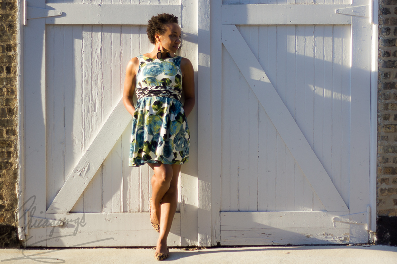 Kari's Natural Hair - Chicagoings-5