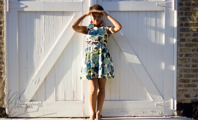 Kari's Natural Hair - Chicagoings-6