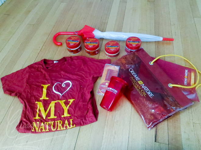 Kari's Natural Hair - Chicagoings SWAG-2