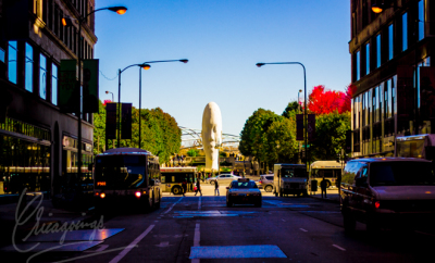 What to do in downtown chicago