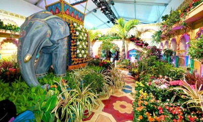 This Weekend in Chicago