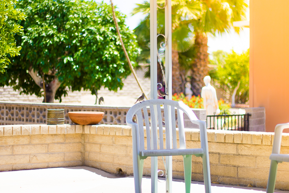 How to grill without a yard