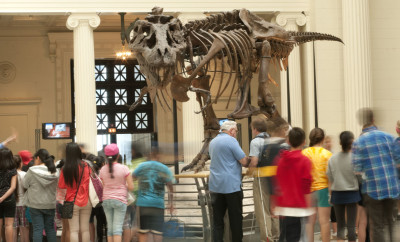 free days at The Field Museum